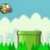 Flappy Bird פלאפי בירד